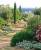 Le parc de Saleccia  en Corse (20)